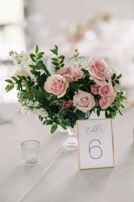 autumn kristen bushel peck photo 0820 scaled