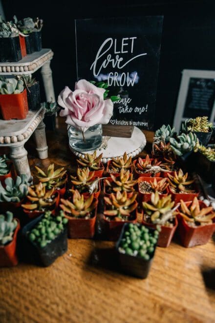 autumn kristen bushel peck photo 1148 scaled