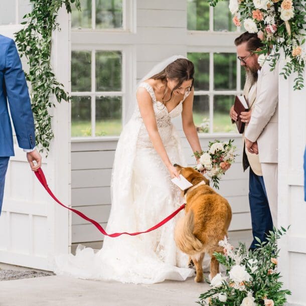 sophie hector wedding davis grey farms bushel peck photo 3 2