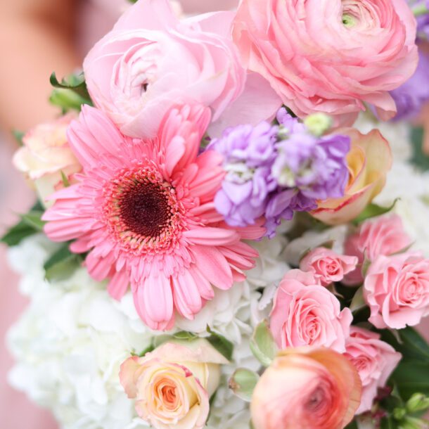 nicole images bushel peck photo 3